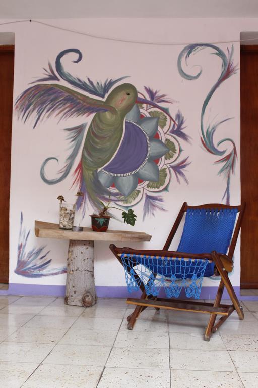 Akasha Hostel Mérida Esterno foto